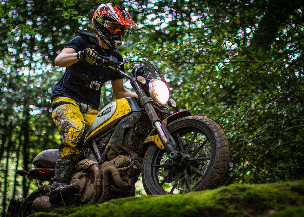 Ducati Scrambler